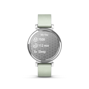 Garmin Lily Classic 2 - Silver Sage Gray
