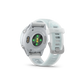 Garmin Forerunner 570 - 42mm Whitestone